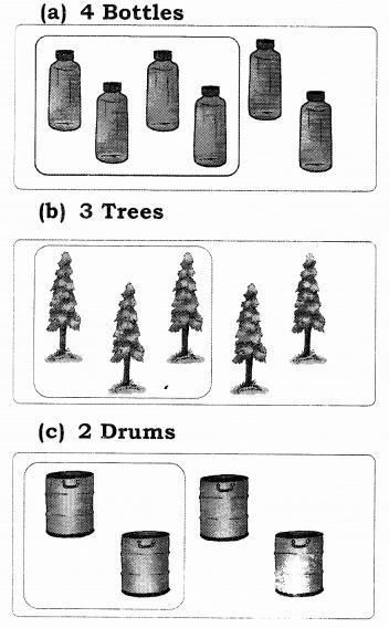 NCERT Solutions for Maths: Chapter 2-Numbers from One to Nine
Question 6