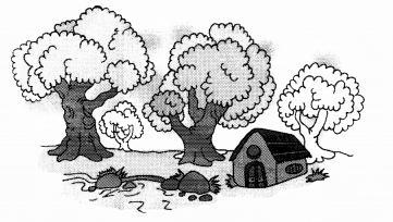 NCERT Solutions for Maths: Chapter 2-Numbers from One to Nine
Question 7