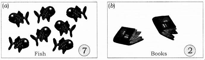 NCERT Solutions for Maths: Chapter 2-Numbers from One to Nine
Question 1