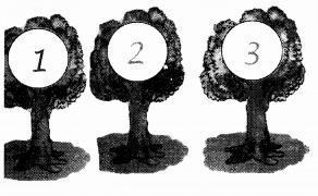 NCERT Solutions for Maths: Chapter 2-Numbers from One to Nine
Question 8