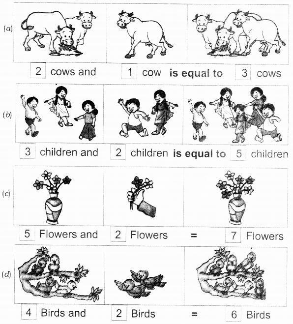 NCERT Solutions for Maths: Chapter 3-Addition
Question 1.