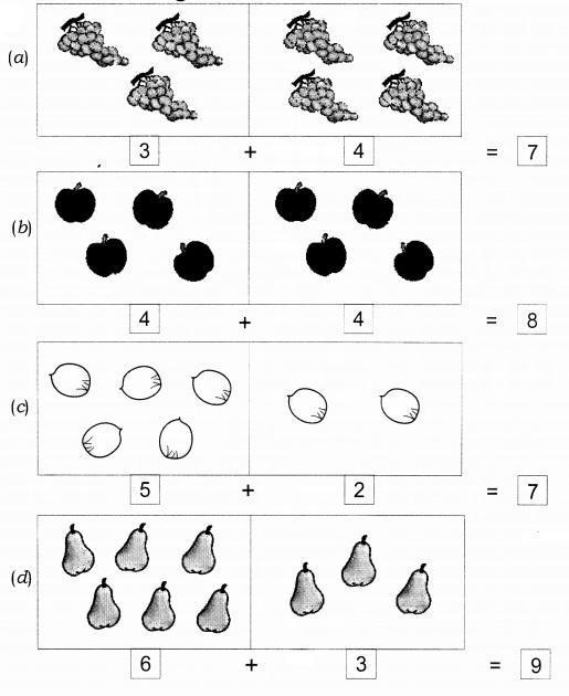 NCERT Solutions for Maths: Chapter 3-Addition
Question 3