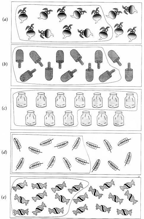 NCERT Solutions for Maths: Chapter 5-Numbers from Ten to Twenty
Question 1.