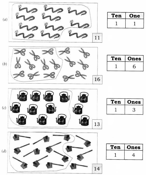 NCERT Solutions for Maths: Chapter 5-Numbers from Ten to Twenty
Question 3