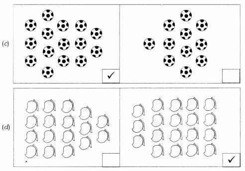 NCERT Solutions for Maths: Chapter 5-Numbers from Ten to Twenty
Question 2