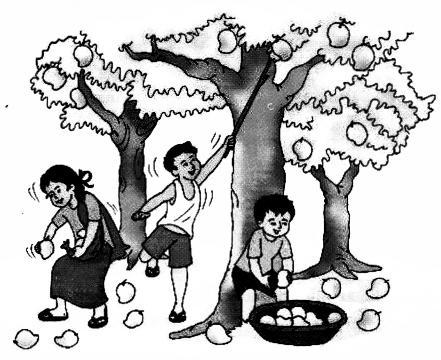 NCERT Solutions for Maths: Chapter 5-Numbers from Ten to Twenty