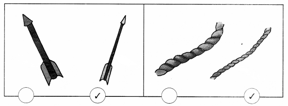 NCERT Solutions for Maths: Chapter 7-Measurement
Question 2