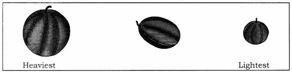 NCERT Solutions for Maths: Chapter 7-Measurement
