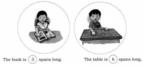 NCERT Solutions for Maths: Chapter 7-Measurement
