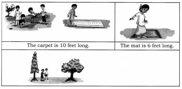 NCERT Solutions for Maths: Chapter 7-Measurement
