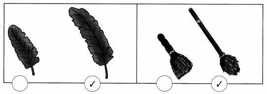 NCERT Solutions for Maths: Chapter 7-Measurement
Question 1.
