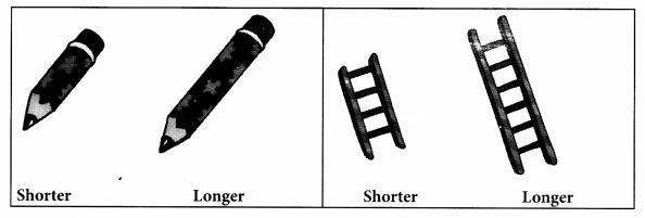 NCERT Solutions for Maths: Chapter 7-Measurement
Longer-Shorter
