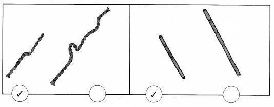 NCERT Solutions for Maths: Chapter 7-Measurement
Question 2