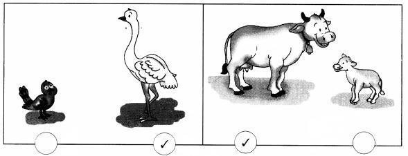 NCERT Solutions for Maths: Chapter 7-Measurement
Question 1