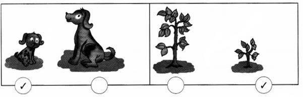 NCERT Solutions for Maths: Chapter 7-Measurement
Question 2