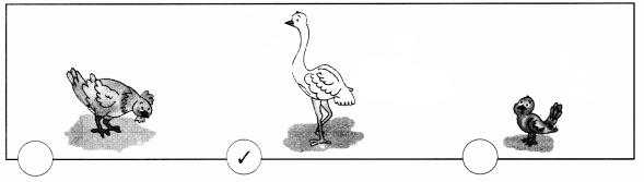 NCERT Solutions for Maths: Chapter 7-Measurement
Question 1