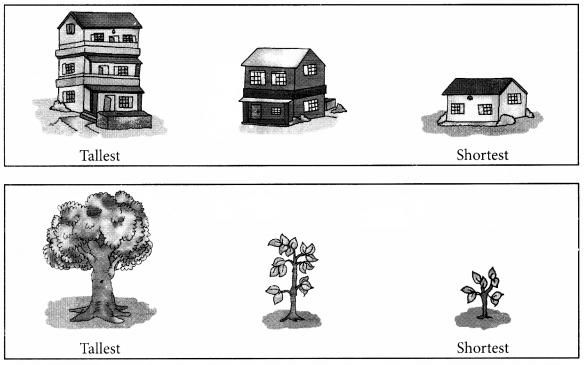 NCERT Solutions for Maths: Chapter 7-Measurement
