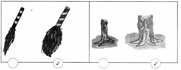 NCERT Solutions for Maths: Chapter 7-Measurement
Question 1