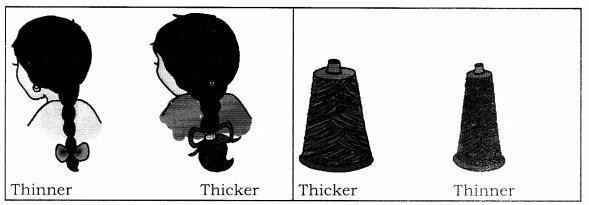 NCERT Solutions for Maths: Chapter 7-Measurement
