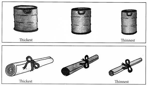 NCERT Solutions for Maths: Chapter 7-Measurement
