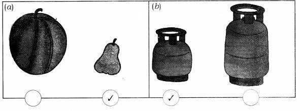 NCERT Solutions for Maths: Chapter 7-Measurement
Question 1