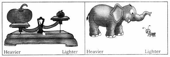 NCERT Solutions for Maths: Chapter 7-Measurement
