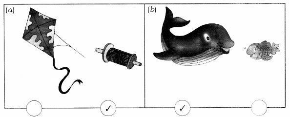 NCERT Solutions for Maths: Chapter 7-Measurement
Question 2