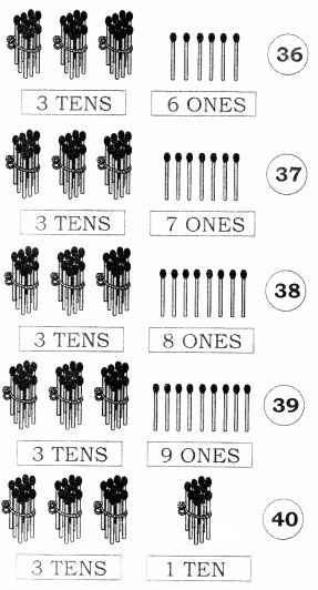 NCERT Solutions for Maths: Chapter 8-Numbers from Twenty-One to Fifty
Question 2