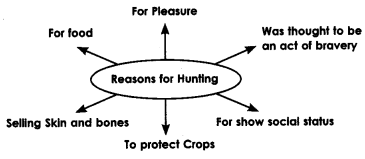 NCERT Solutions for 10th Class English Literature: Chapter 2-Mrs. Packletide’s Tiger Que. 1