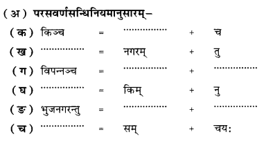 NCERT Solutions for Class 10 Sanskrit (Shemushi): Chapter 10-भूकंपविभीषिका