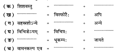 NCERT Solutions for Class 10 Sanskrit (Shemushi): Chapter 10-भूकंपविभीषिका