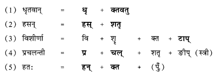 NCERT Solutions for Sanskrit (Shemushi): Chapter 10-भूकंपविभीषिका