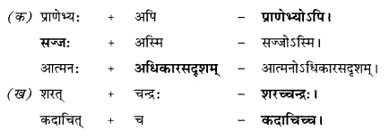 NCERT Solutions for Class 10 Sanskrit (Shemushi): Chapter 11-प्राणेभ्योऽपि प्रियः सुह्रद्