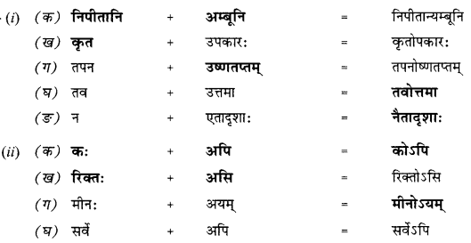 NCERT Solutions for Class 10 Sanskrit (Shemushi): Chapter 12-अनयोक्त्यः