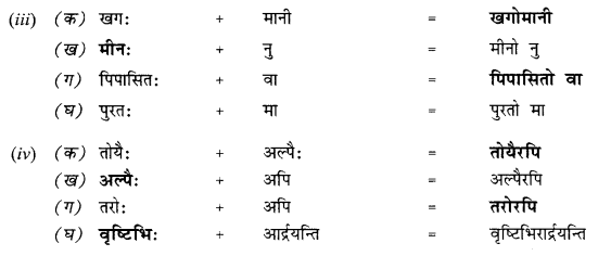 NCERT Solutions for Class 10 Sanskrit (Shemushi): Chapter 12-अनयोक्त्यः