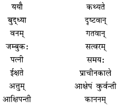 NCERT Solutions for Class 10 Sanskrit (Shemushi): Chapter 2- बुद्धिर्बलवती सदा Que. 6