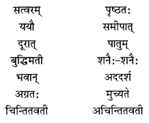 NCERT Solutions for Class 10 Sanskrit (Shemushi): Chapter 2- बुद्धिर्बलवती सदा Que. 8