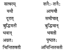 NCERT Solutions for Class 10 Sanskrit (Shemushi): Chapter 2- बुद्धिर्बलवती सदा Que. 8