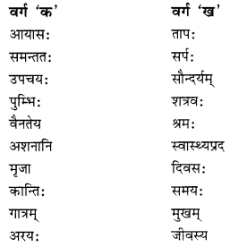 NCERT Solutions for Class 10 Sanskrit (Shemushi): Chapter 3-व्यायामः सर्वदा पथ्यः Que. 5