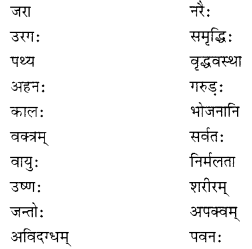NCERT Solutions for Class 10 Sanskrit (Shemushi): Chapter 3-व्यायामः सर्वदा पथ्यः Que. 5
