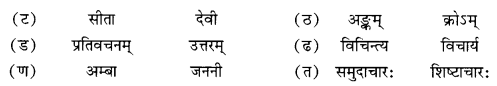 NCERT Solutions for Class 10 Sanskrit (Shemushi): Chapter 4-शिशुलालनम् Que. 7