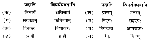 NCERT Solutions for Class 10 Sanskrit (Shemushi): Chapter 4-शिशुलालनम् Que. 9
