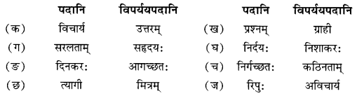NCERT Solutions for Class 10 Sanskrit (Shemushi): Chapter 4-शिशुलालनम् Que. 9