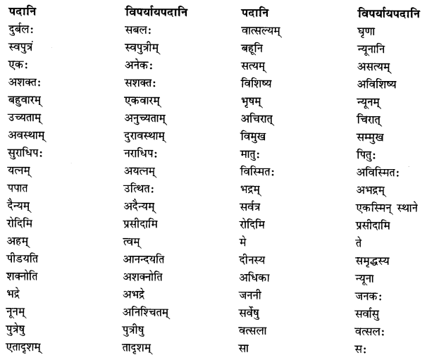NCERT Solutions for Class 10 Sanskrit (Shemushi): Chapter 5-जननी तुल्यवत्सला Que. 10