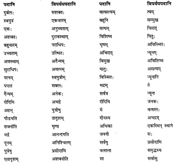 NCERT Solutions for Class 10 Sanskrit (Shemushi): Chapter 5-जननी तुल्यवत्सला Que. 10