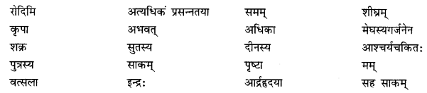 NCERT Solutions for Class 10 Sanskrit (Shemushi): Chapter 5-जननी तुल्यवत्सला Que. 8