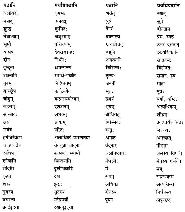 NCERT Solutions for Class 10 Sanskrit (Shemushi): Chapter 5-जननी तुल्यवत्सला Que. 8