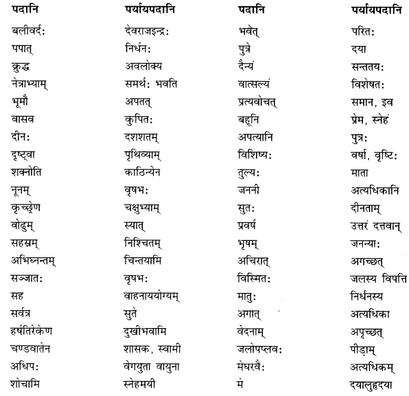 NCERT Solutions for Class 10 Sanskrit (Shemushi): Chapter 5-जननी तुल्यवत्सला Que. 8