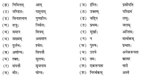 NCERT Solutions for Class 10 Sanskrit (Shemushi): Chapter 6-सुभाषितानि Que.