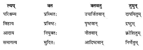 NCERT Solutions for Class 10 Sanskrit (Shemushi): Chapter 8-विचित्रः साक्षी Que. 6
